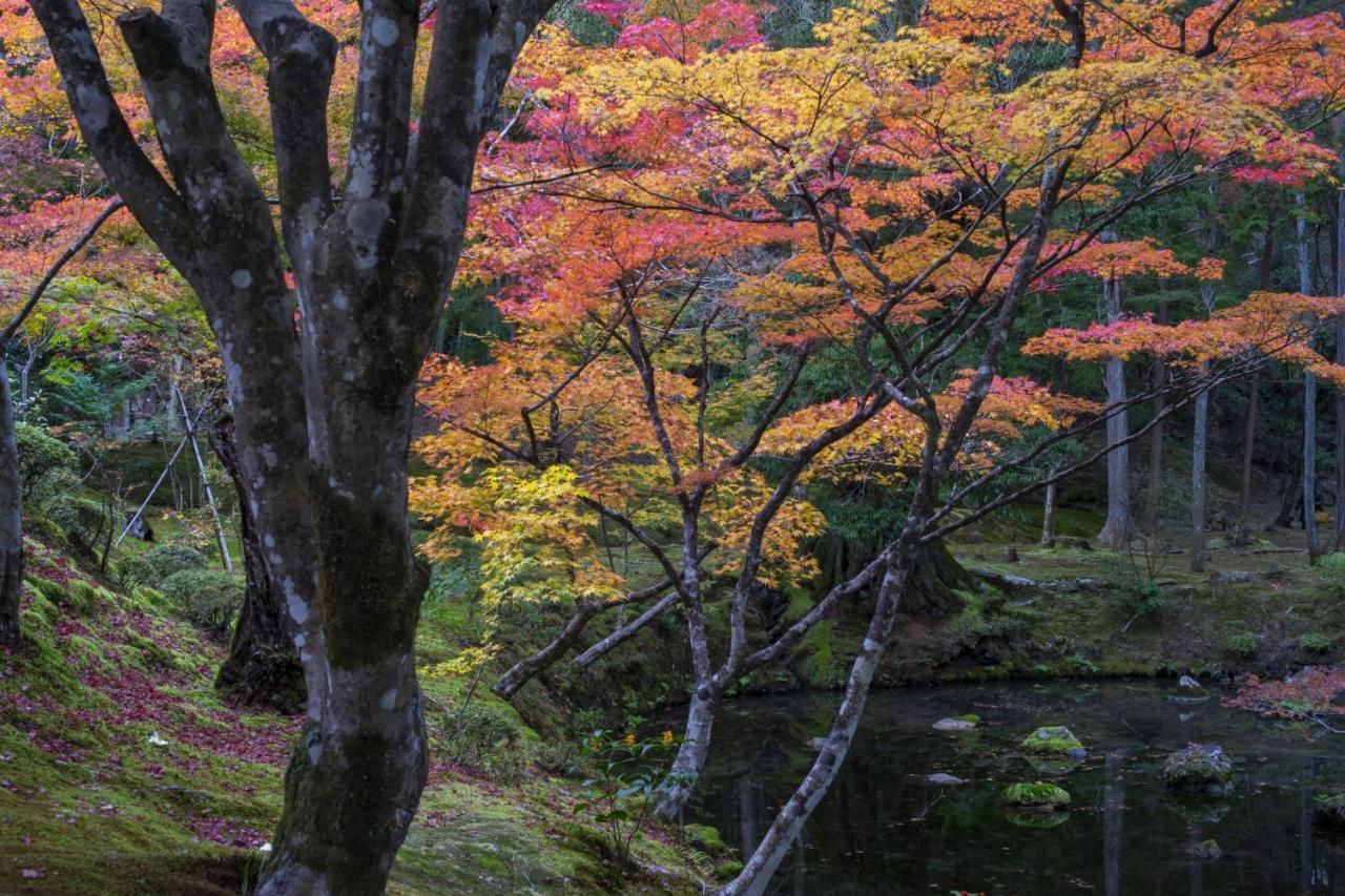 Hotel Arrows Arashiyama Kyoto Exterior photo